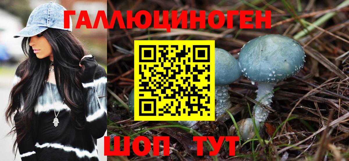 Ковров  Галлюциногенные грибы Psilocybe  Вход с VPN  Псилоцибиновые грибы Psilocybine cubensis 