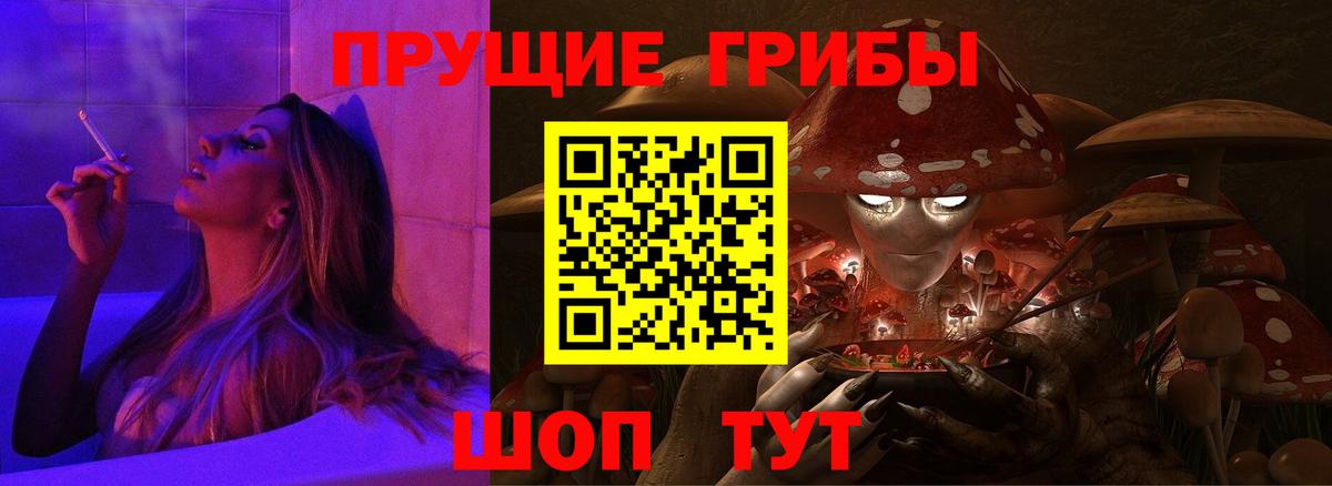 Псилоцибиновые грибы Psilocybine cubensis Ковров